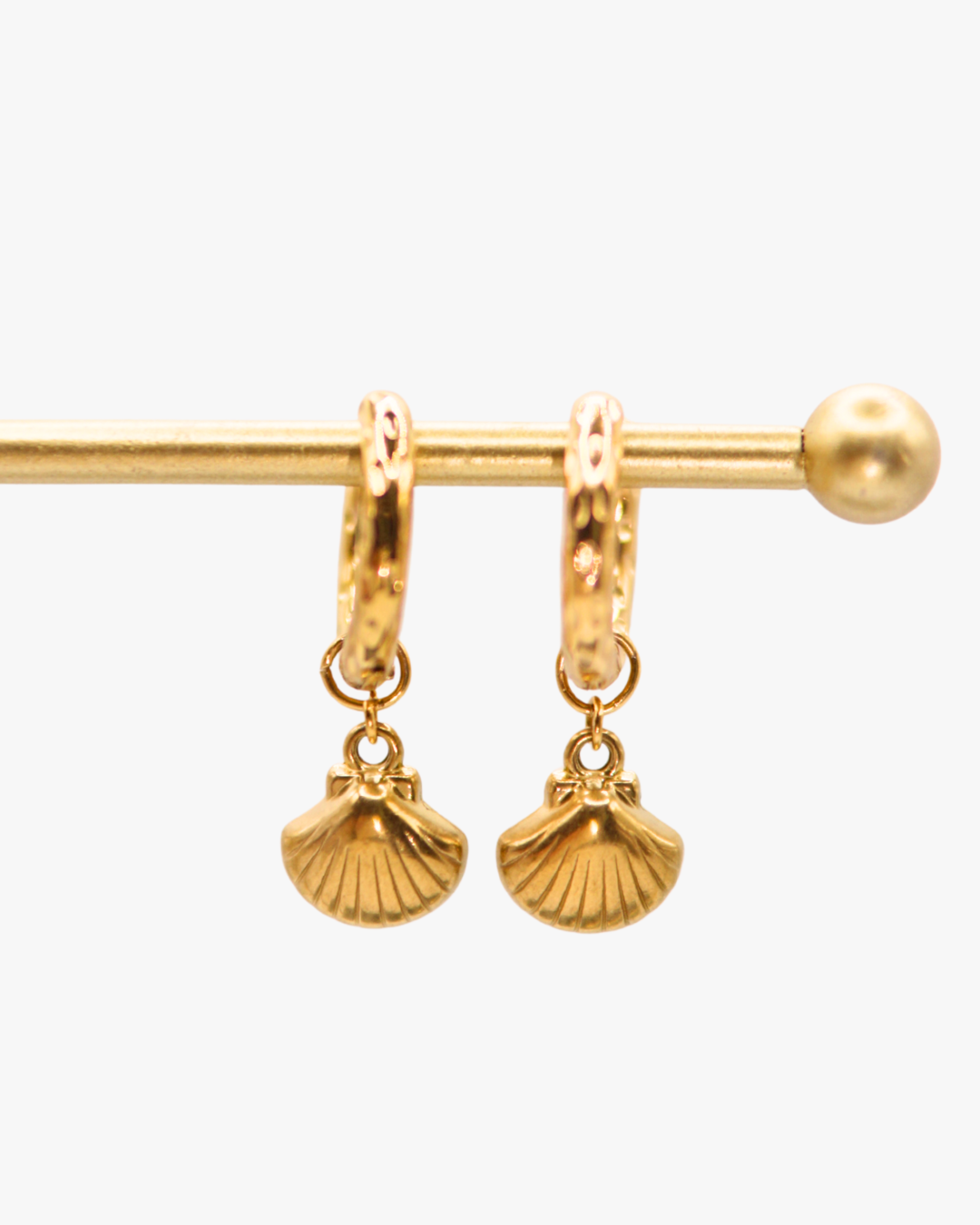 Creolen Golden Shell