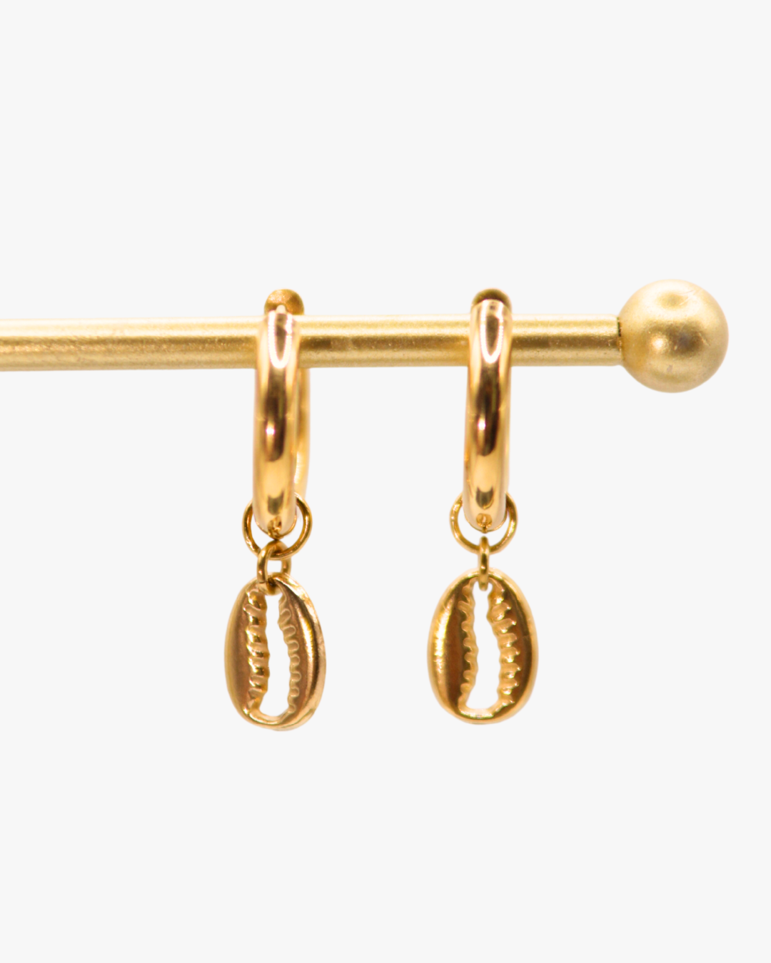 Creolen Golden Cowrie