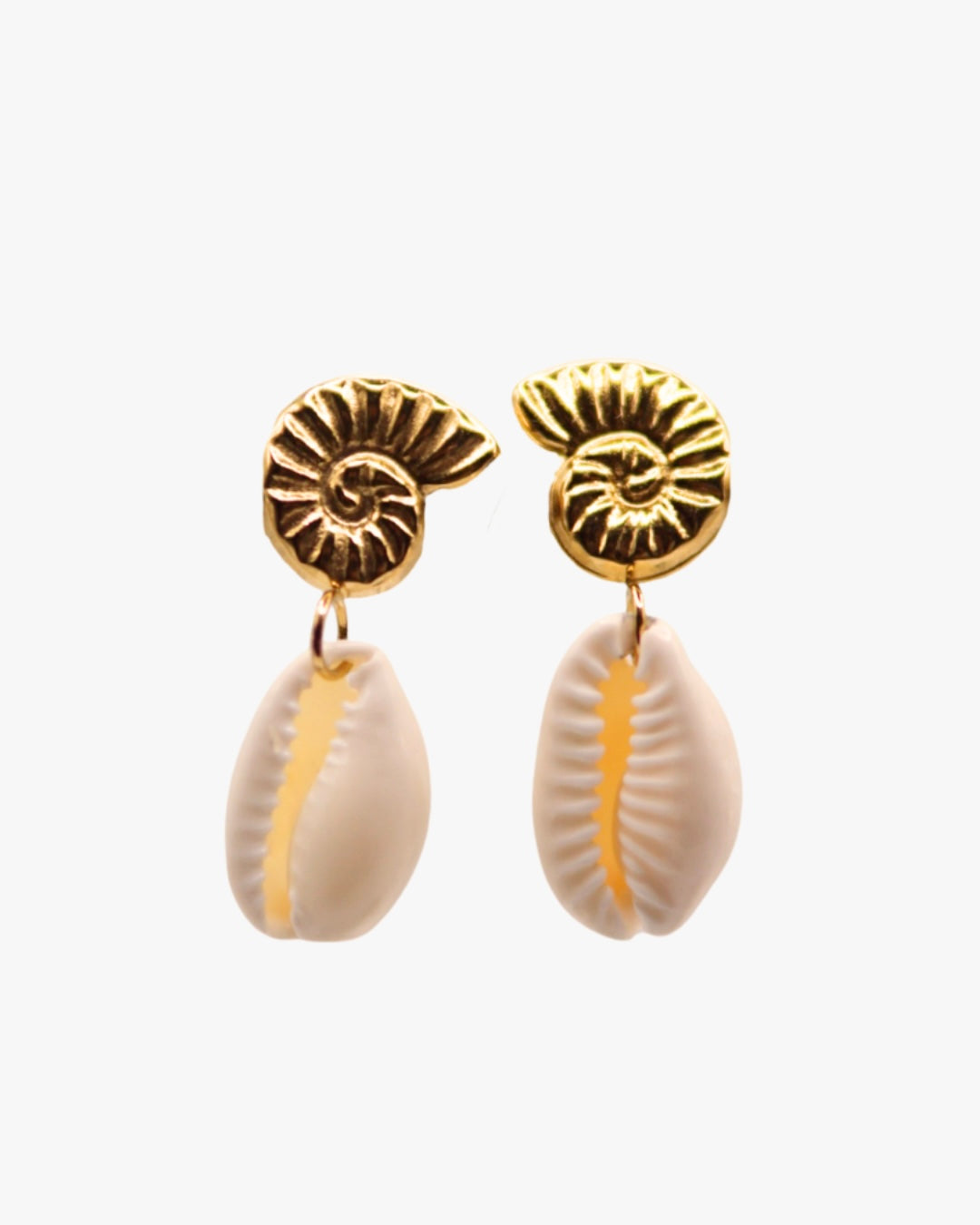 Ohrstecker Sharkeye Cowrie