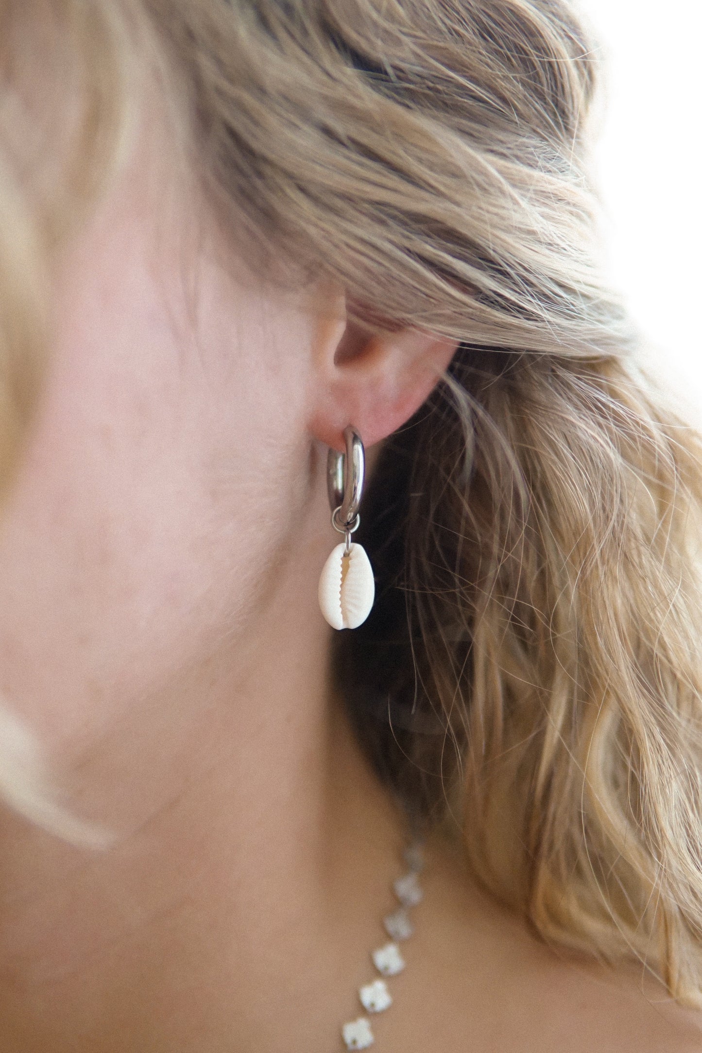 Creolen White Cowrie in Silber