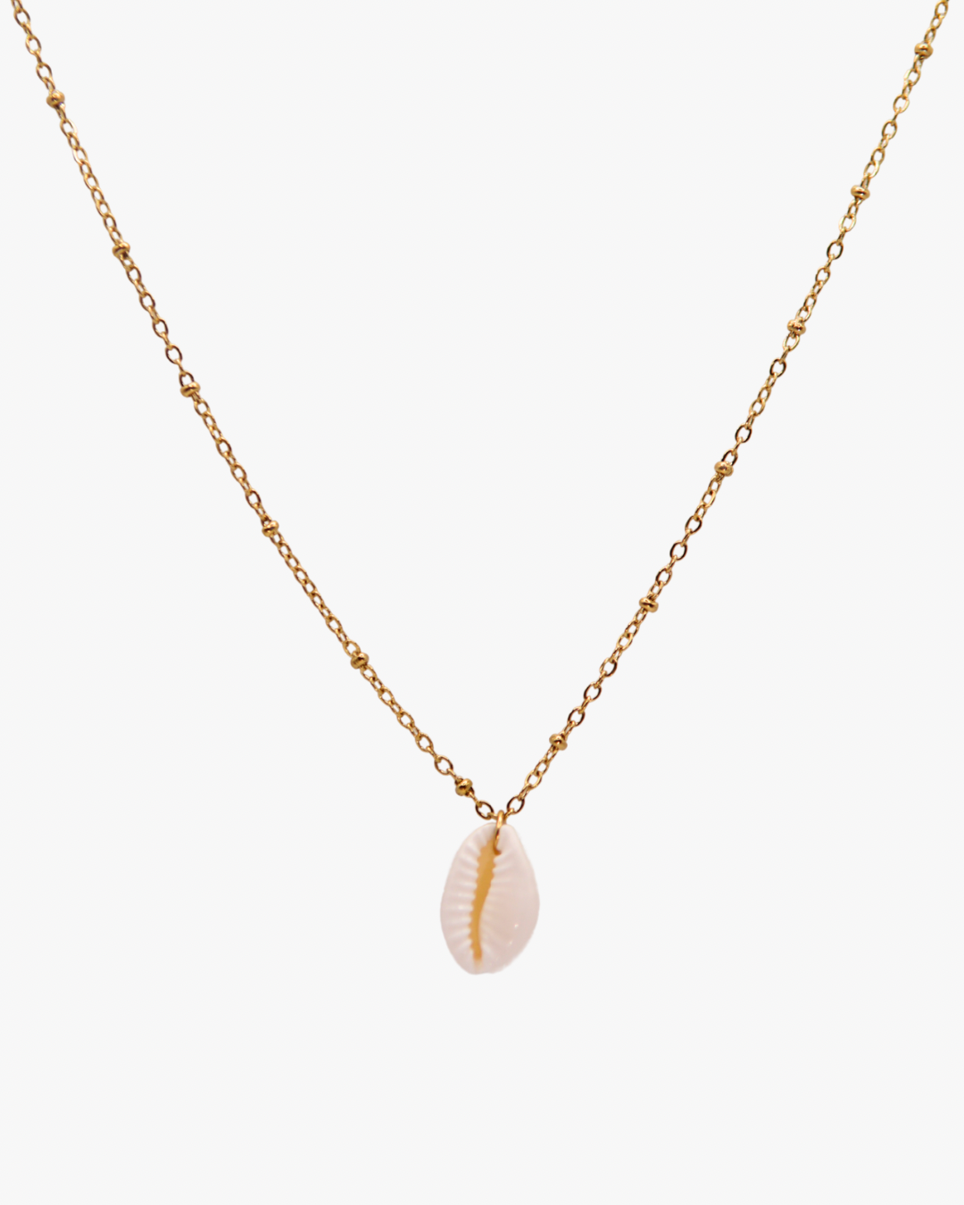 Halskette White Cowrie