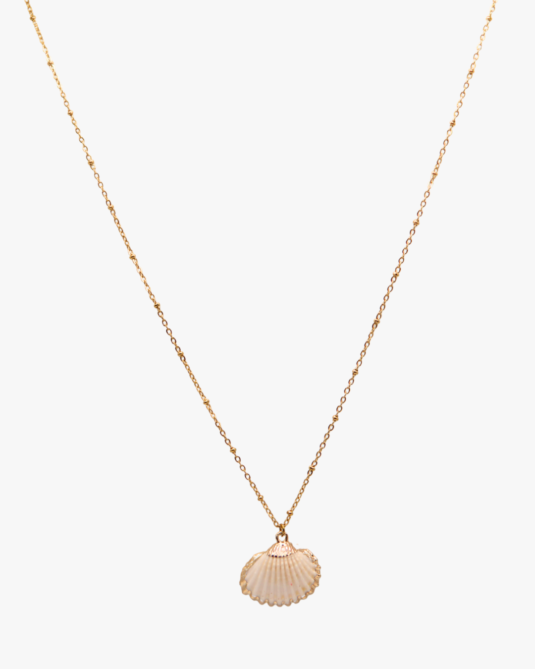 Halskette Sunkissed Shell
