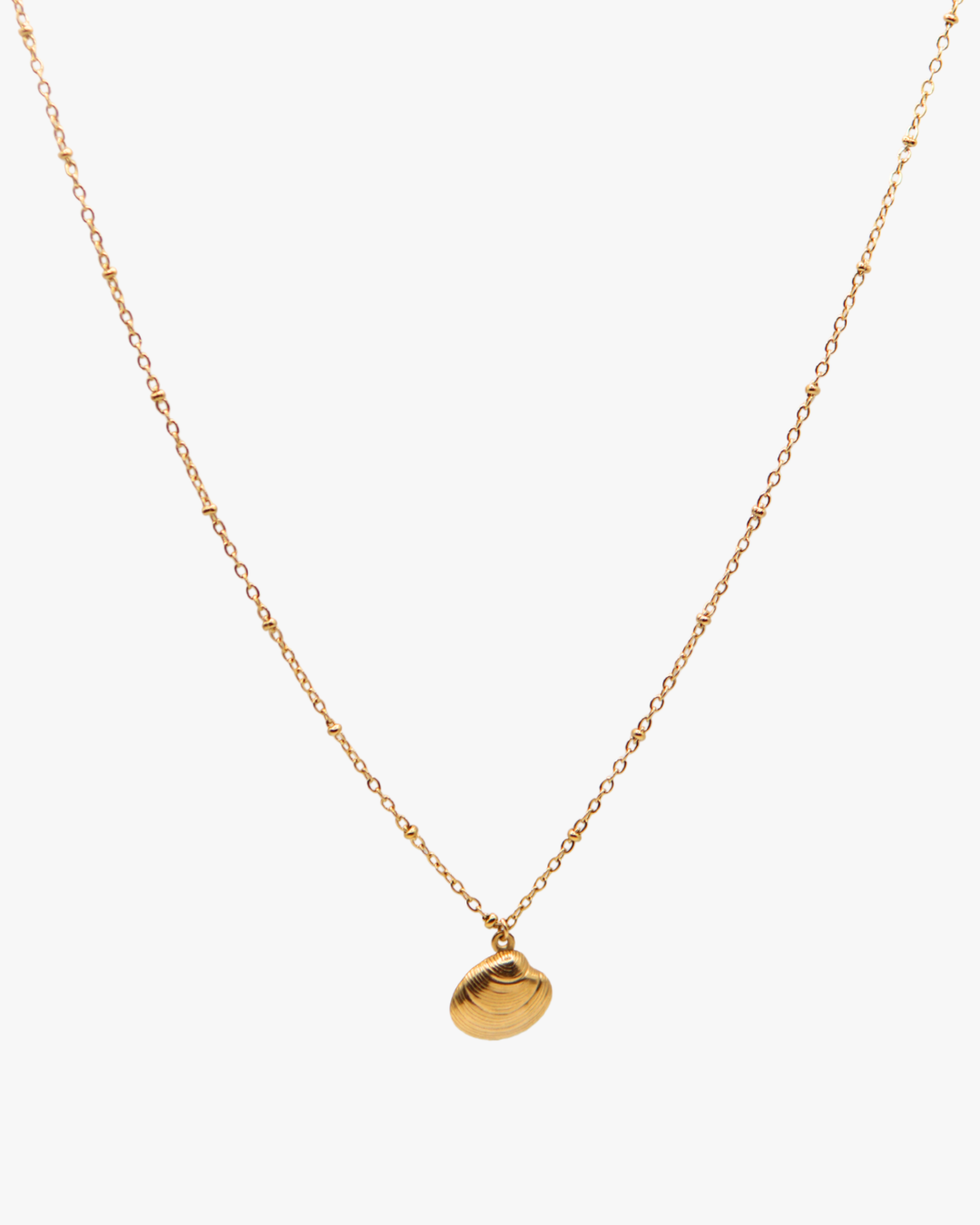 Halskette Golden Coquina