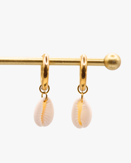 Creolen White Cowrie