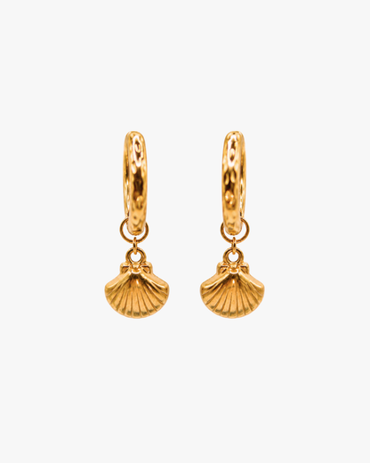 Creolen Golden Shell