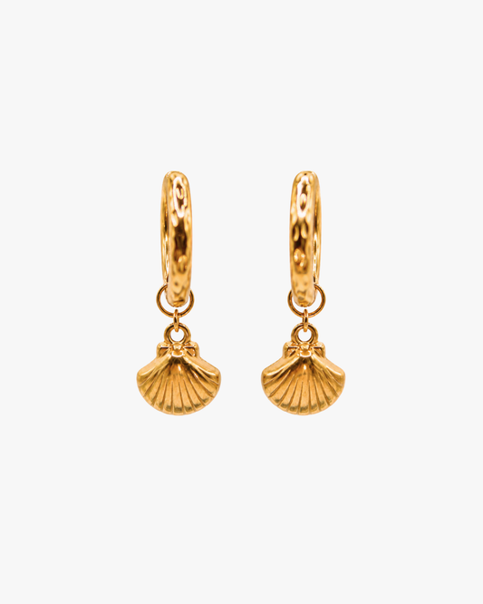 Creolen Golden Shell