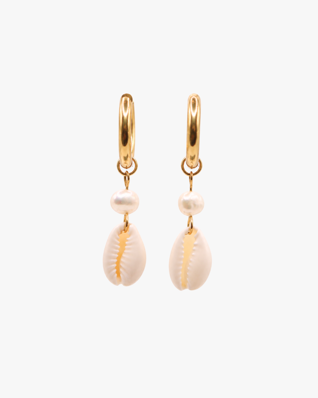 Creolen Pearl Cowrie