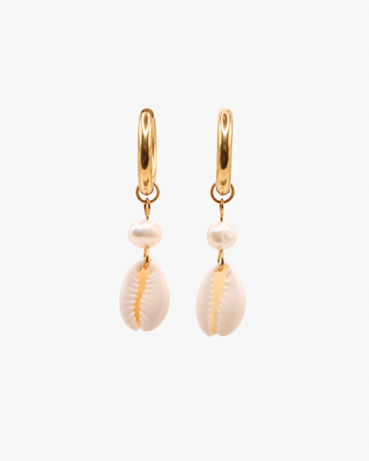 Creolen Pearl Cowrie