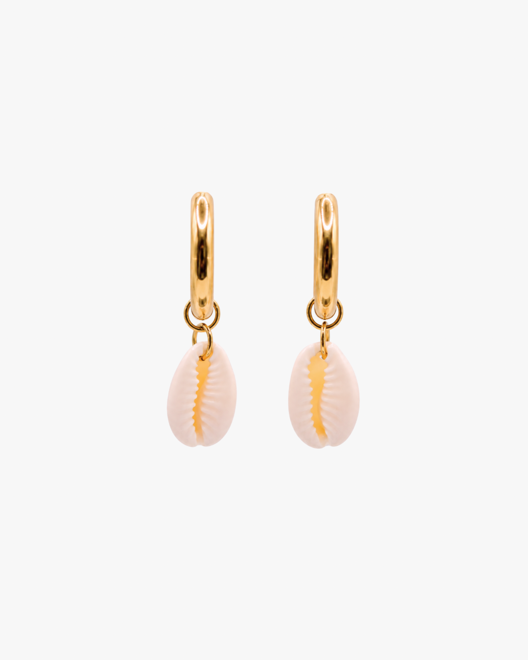 Creolen White Cowrie