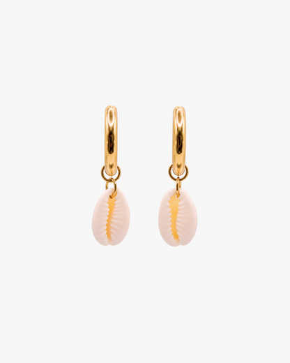 Creolen White Cowrie