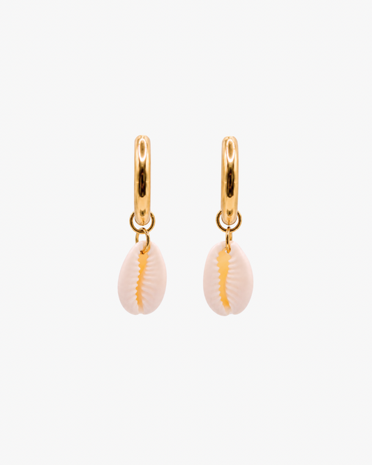Creolen White Cowrie