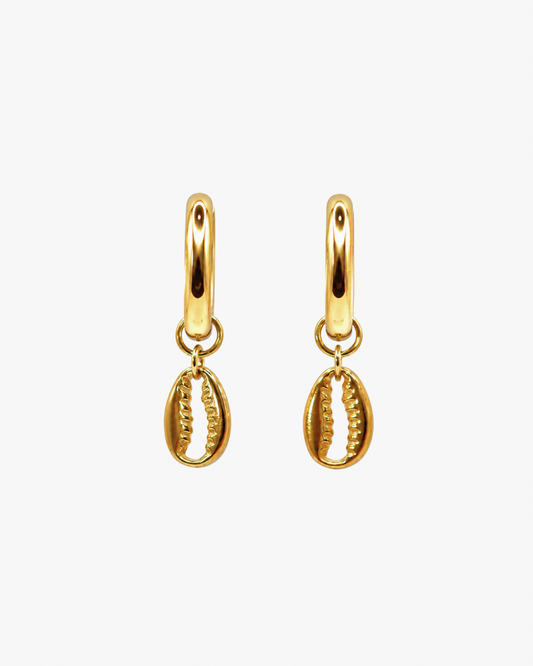 Creolen Golden Cowrie
