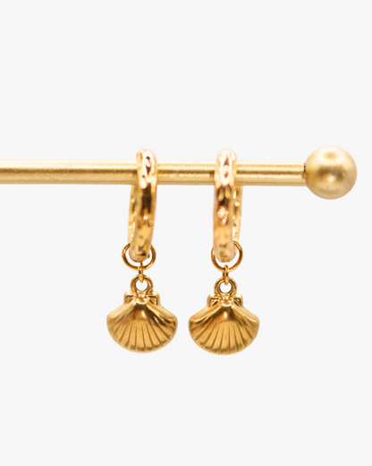 Creolen Golden Shell