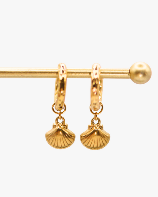 Creolen Golden Shell