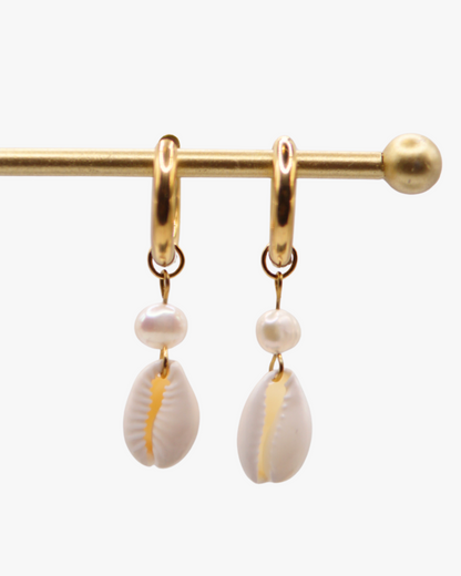 Creolen Pearl Cowrie