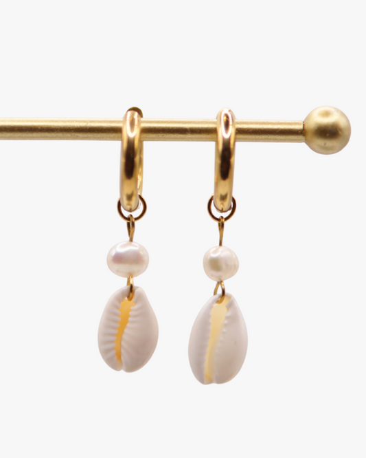Creolen Pearl Cowrie