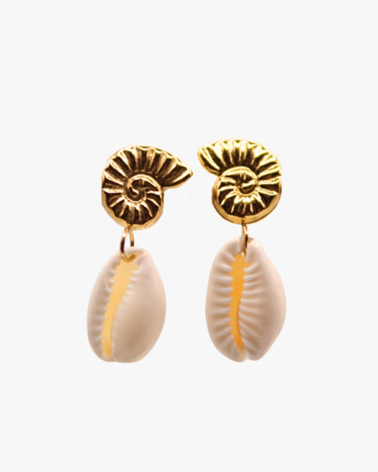 Ohrstecker Sharkeye Cowrie