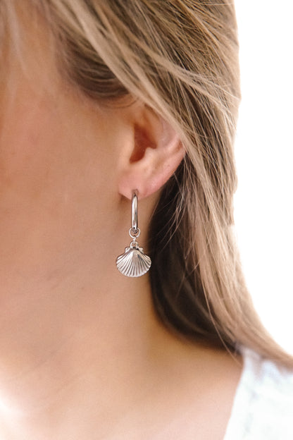 Creolen Silver Shell