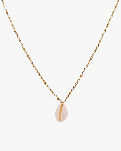 Halskette White Cowrie