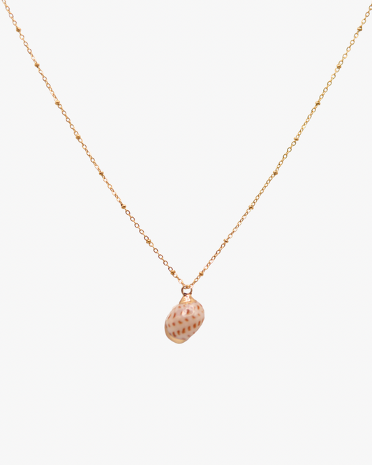 Halskette Tiger Moon Seashell
