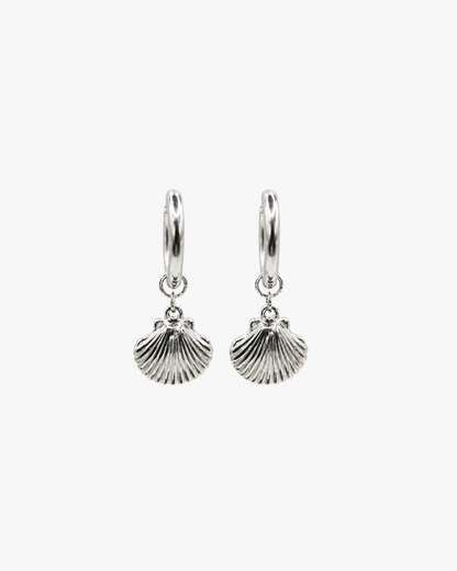 Creolen Silver Shell