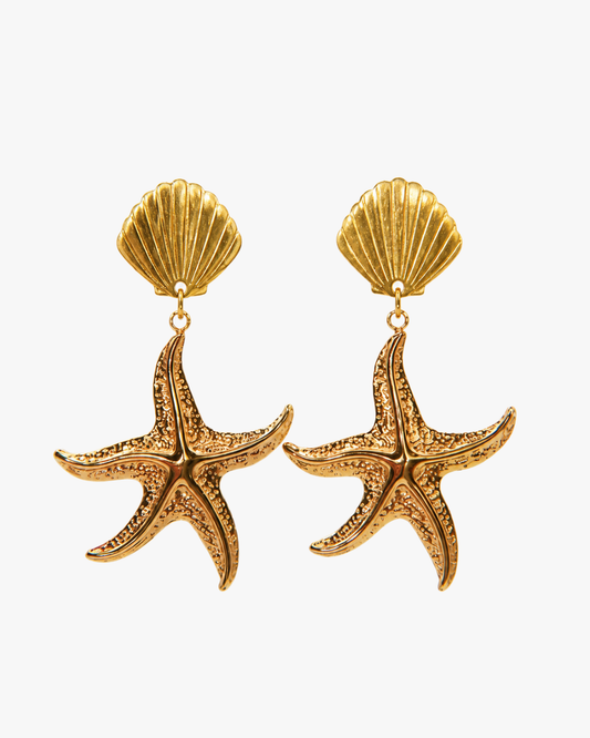 Ohrstecker Ocean Star Shell